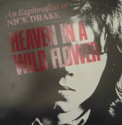 Nick Drake : Heaven in a Wild Flower - An Exploration of Nick Drake